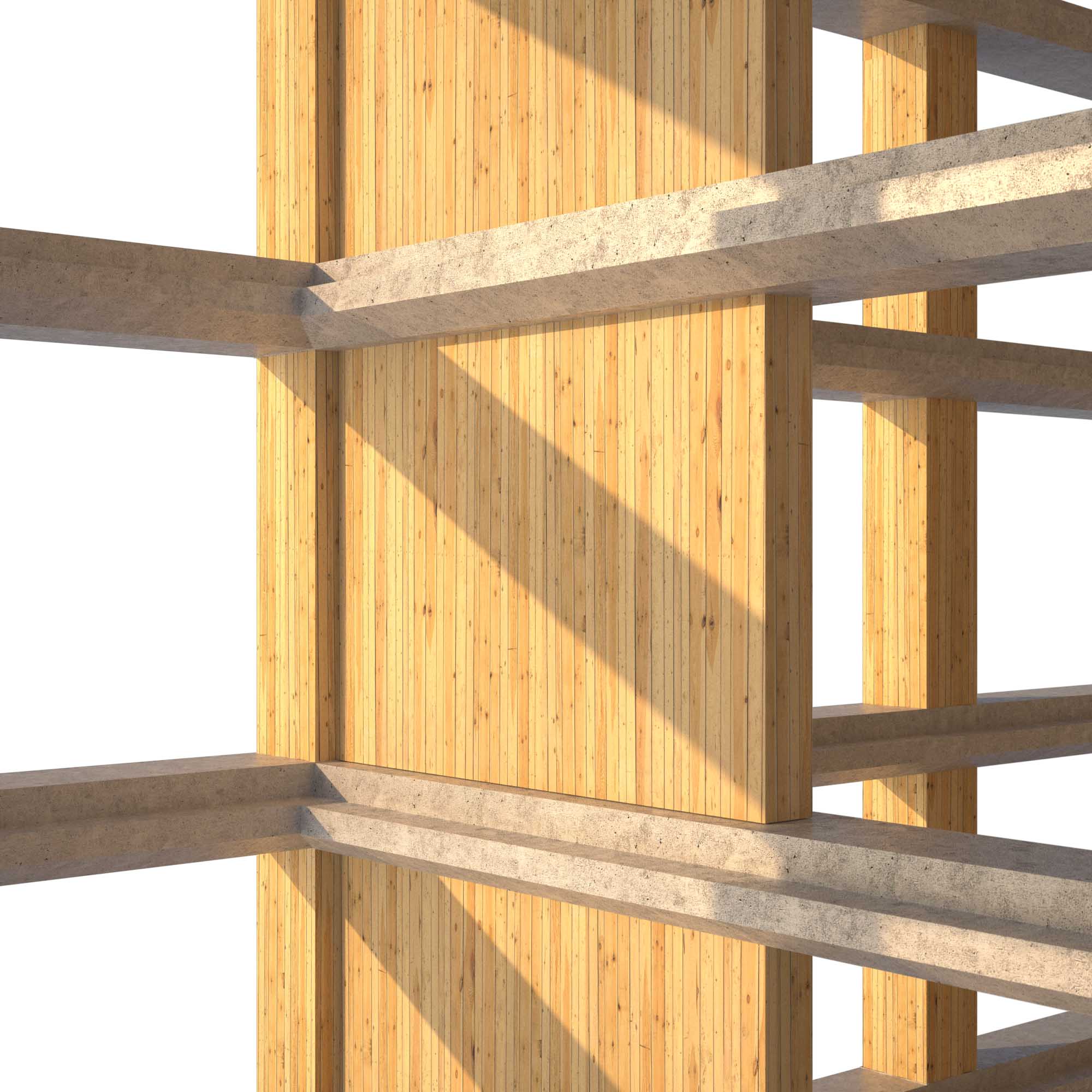 SOM releases Timber Tower Research Project