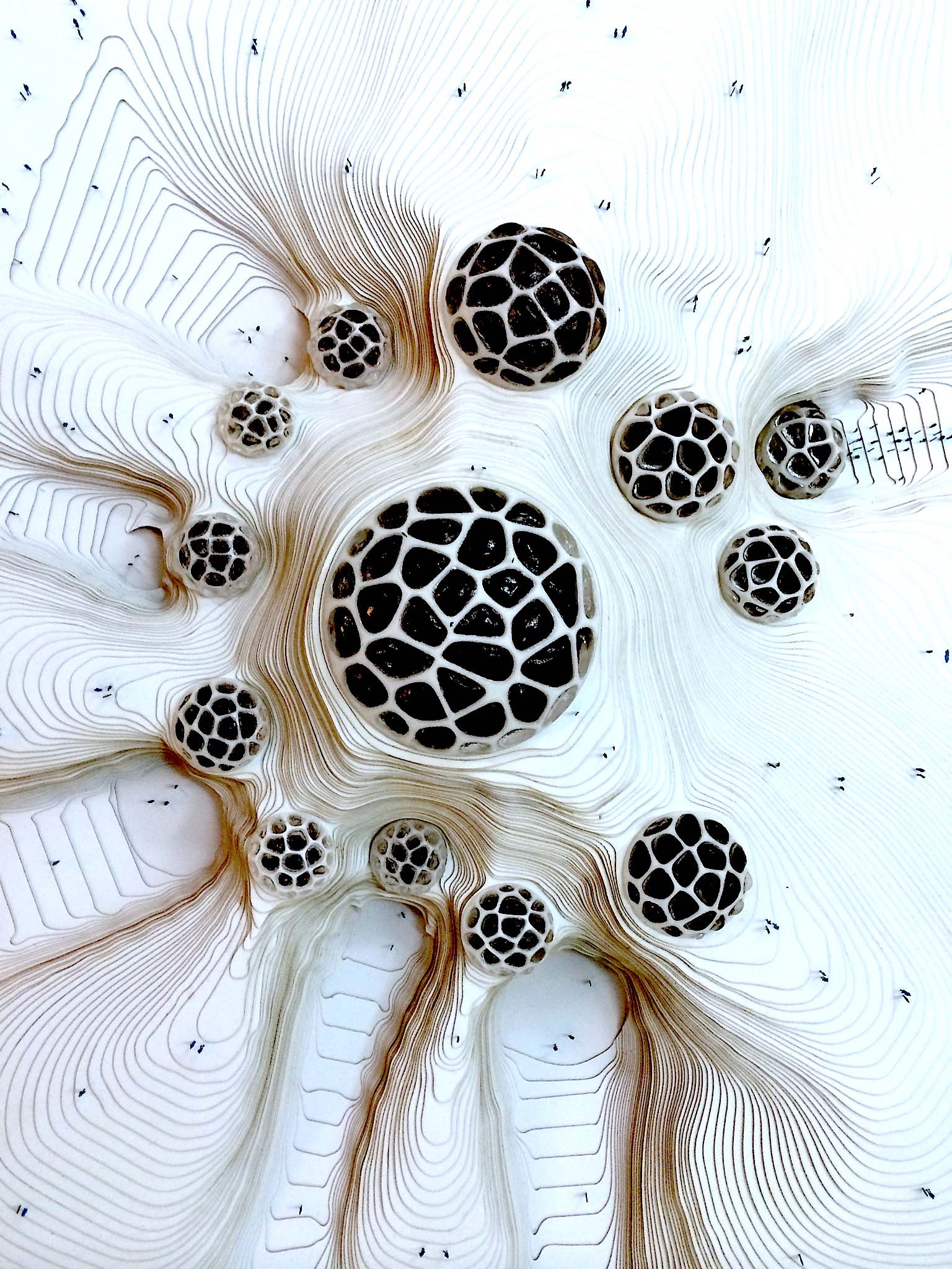 DSC Group’s entry for the Kazakhstan National Pantheon Competition (Astana) revealed