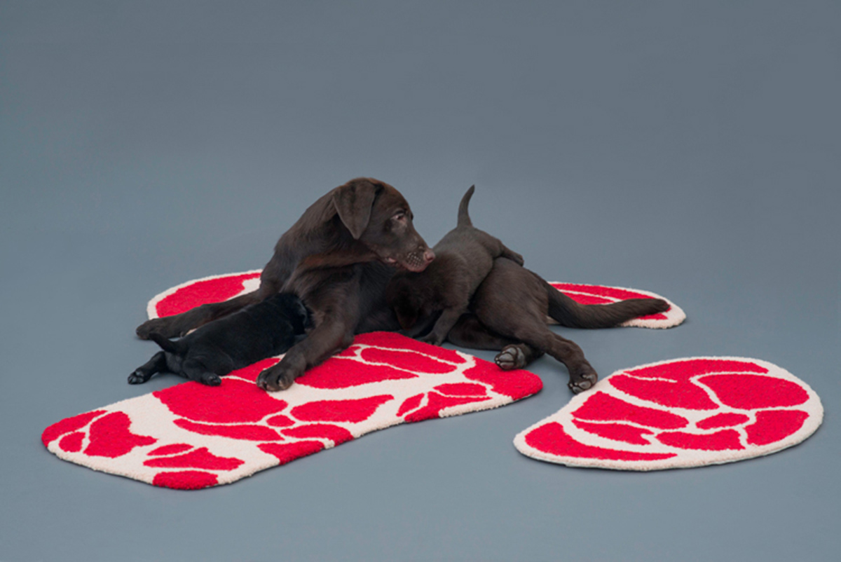 Ma Yansong Revealed &ldquo;Niku Rug&rdquo; &ndash; Design for Labradors