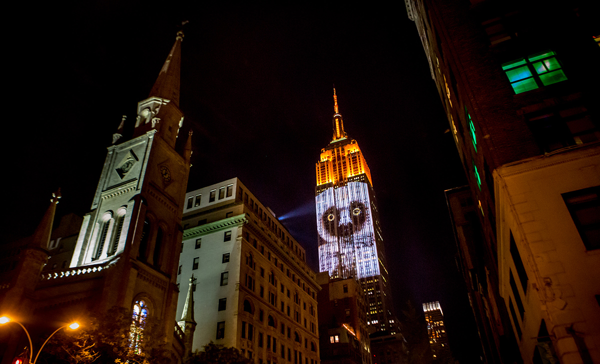 Obscura Digital covers The Empire State Building with massive projections of endangered animals