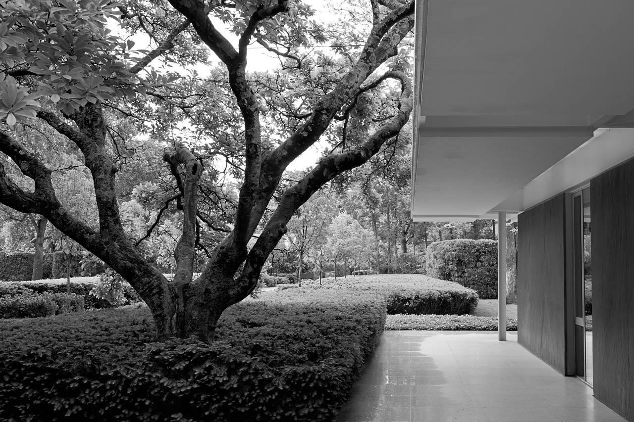 ‘The Landscape Architecture Legacy of Dan Kiley’ Review:Urban Oases