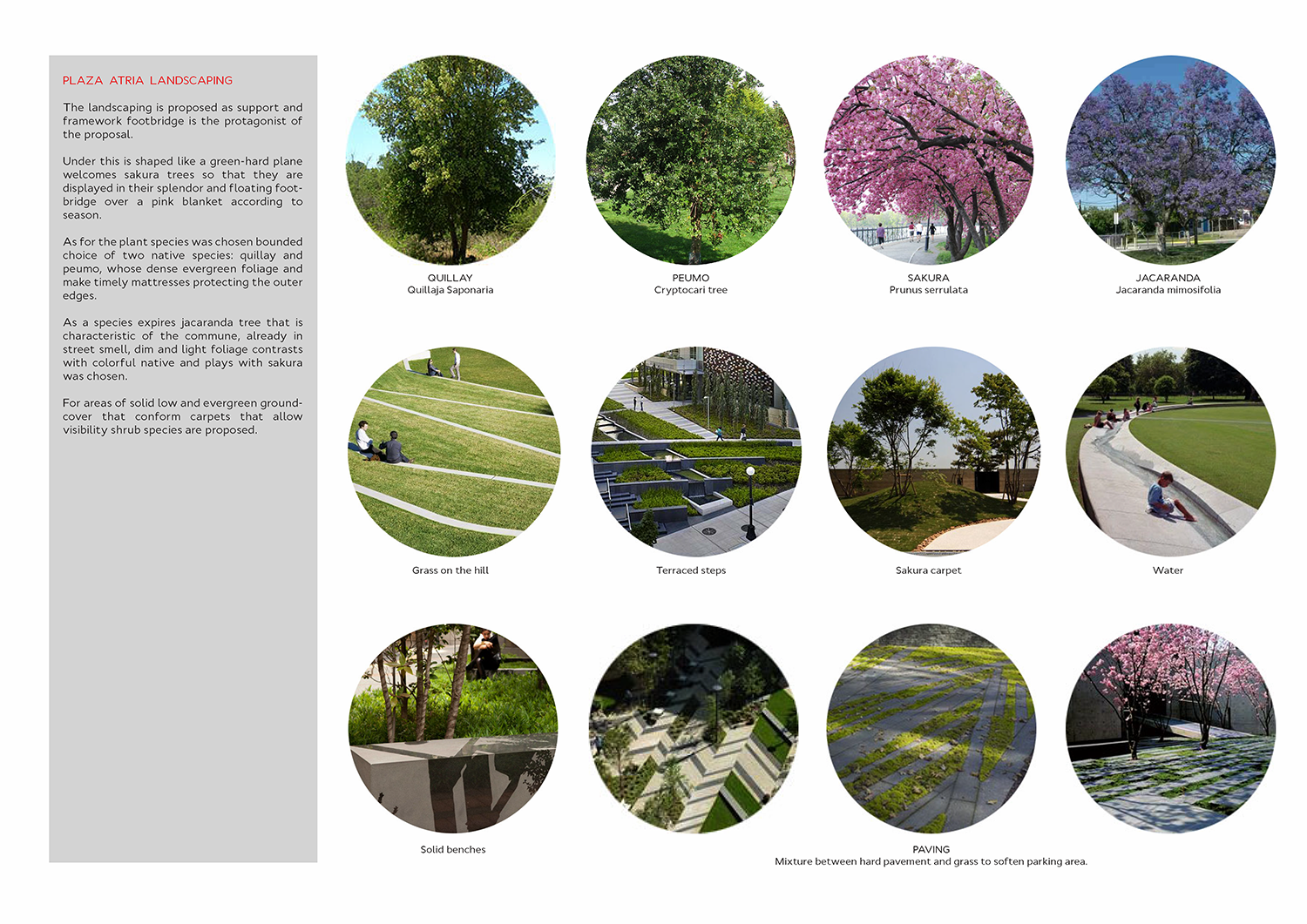 Contest For Architecture Concept Design Of A Public Plaza Of Tajamar Towers As A Tribute To Fernando