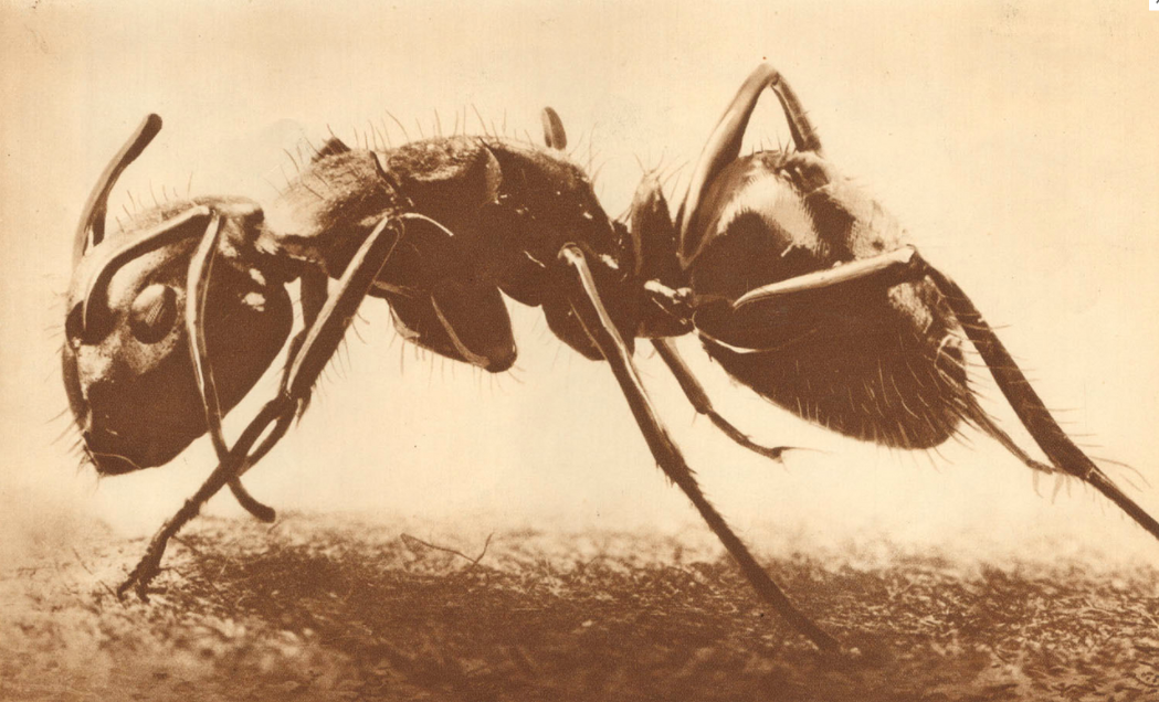 Workshop:Frederick Kiesler&rsquo;s Magic Architecture