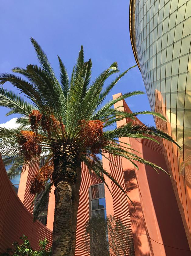 Foster+Partners Pavilion for United Arab Emirates opens at Milan Expo 2015