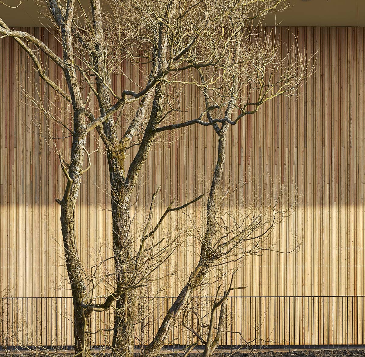 Walters & Cohen Architects completed The Lairdsland Primary School in Scotland
