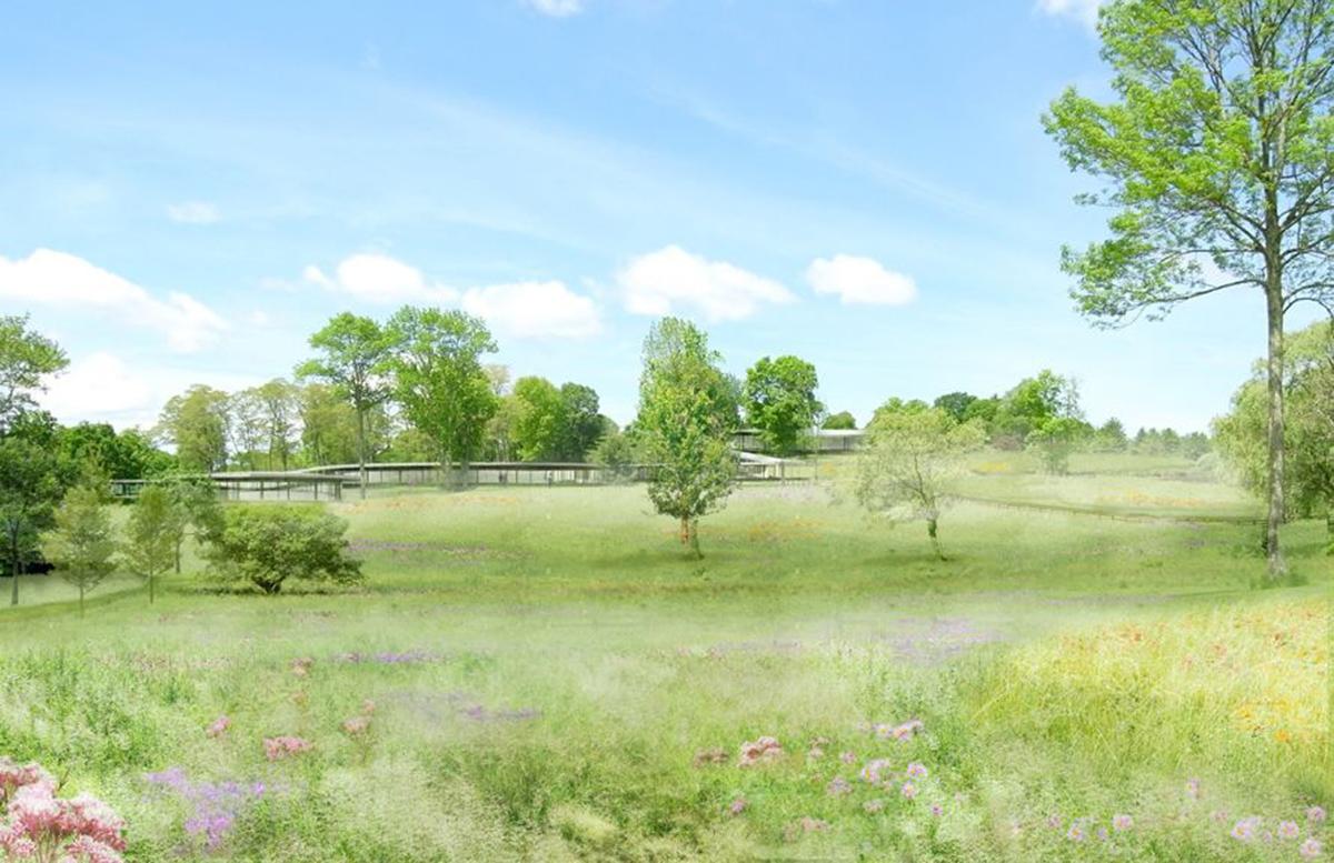 SANAA removes the boundaries of pastoral setting for Grace Farms