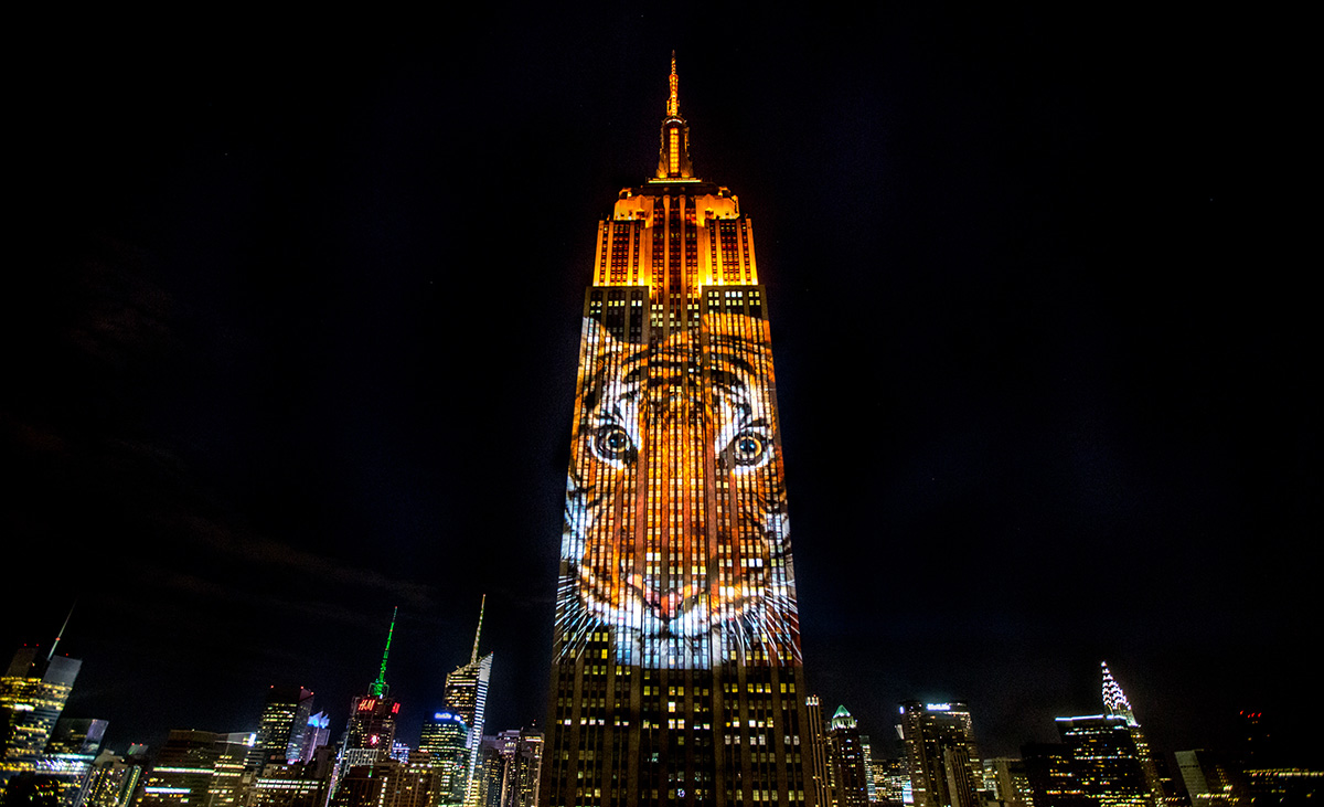 Obscura Digital covers The Empire State Building with massive projections of endangered animals