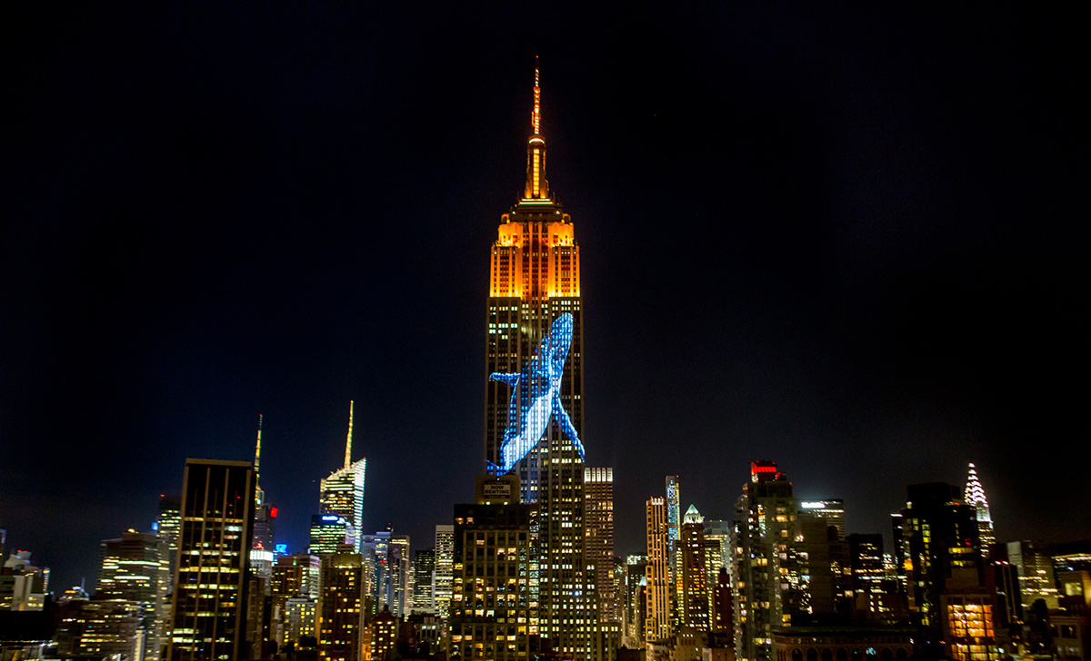 Obscura Digital covers The Empire State Building with massive projections of endangered animals