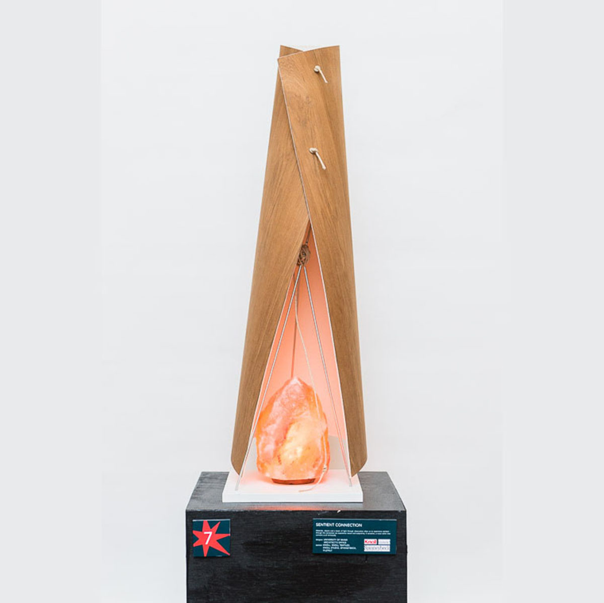 College of Architecture + The Arts presents annual Festival of the Trees exhibit, auction