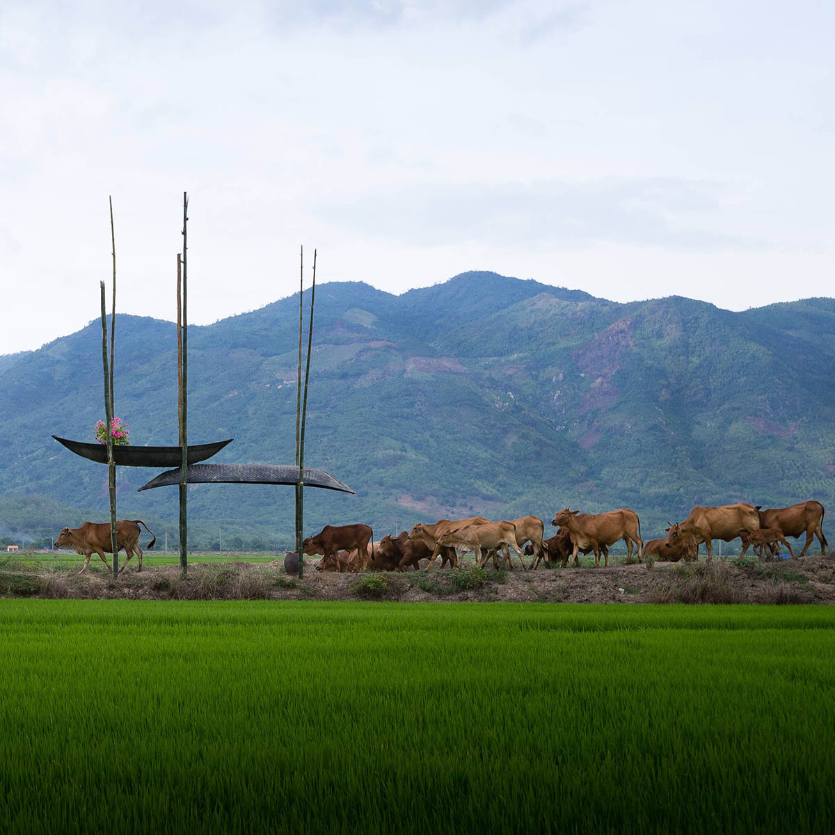 a21studio creates a shelter for local people by using Vietnam’s old boat