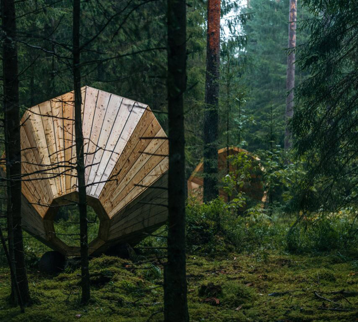 Unplugged kingsize megaphones help nature explorers to listen to the forests