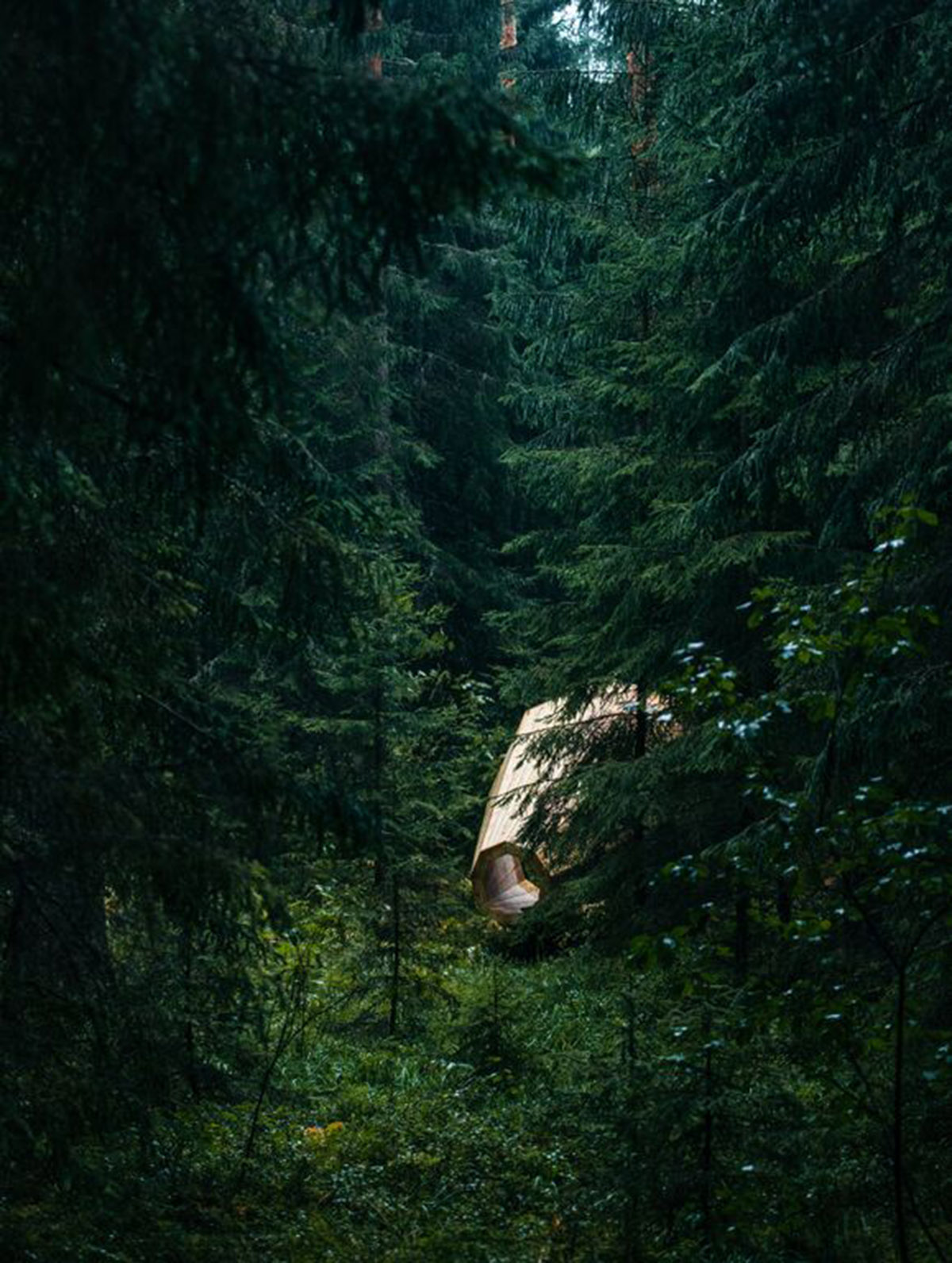 Unplugged kingsize megaphones help nature explorers to listen to the forests