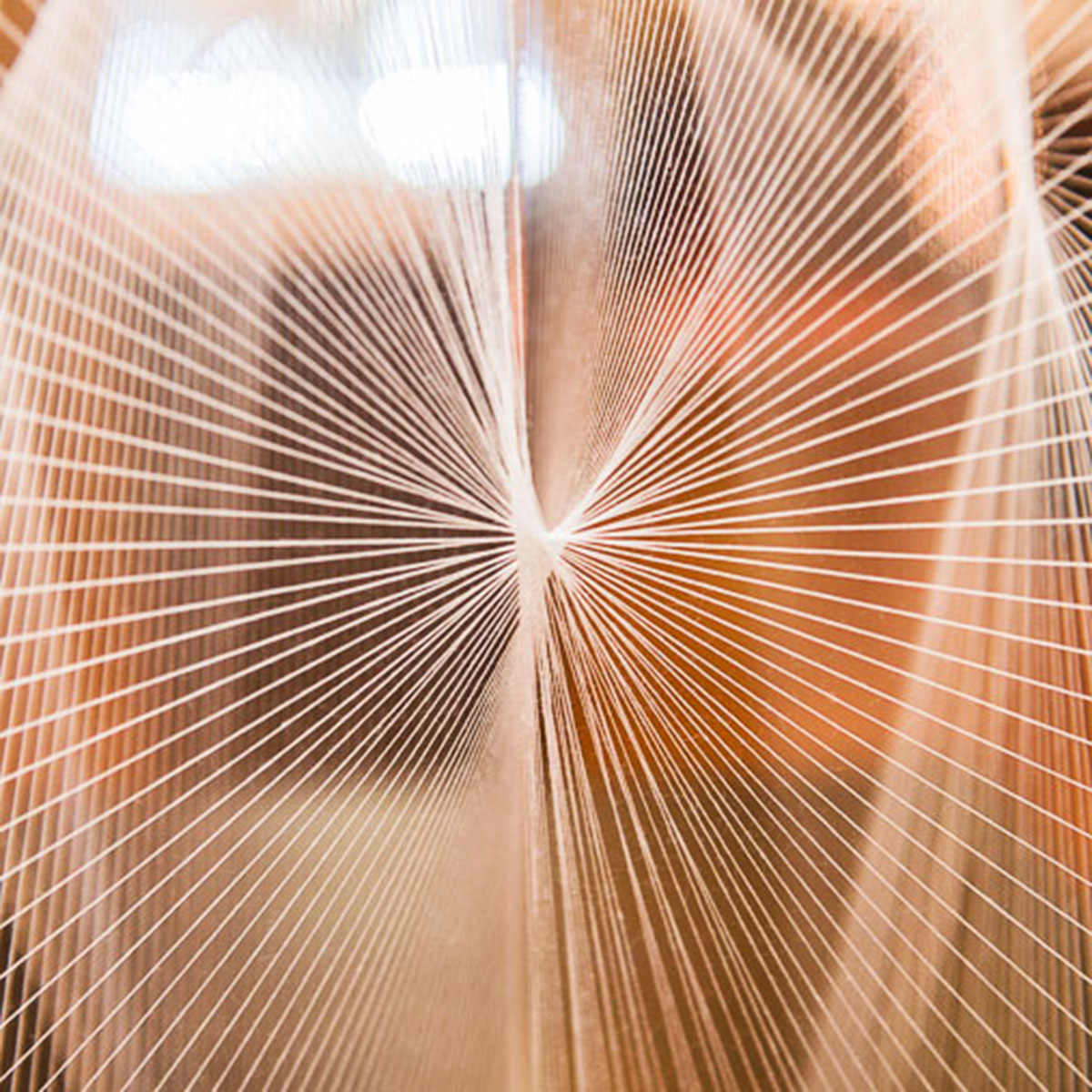 College of Architecture + The Arts presents annual Festival of the Trees exhibit, auction