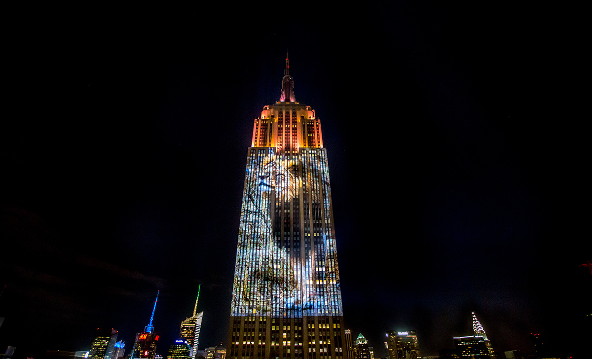 Obscura Digital covers The Empire State Building with massive projections of endangered animals