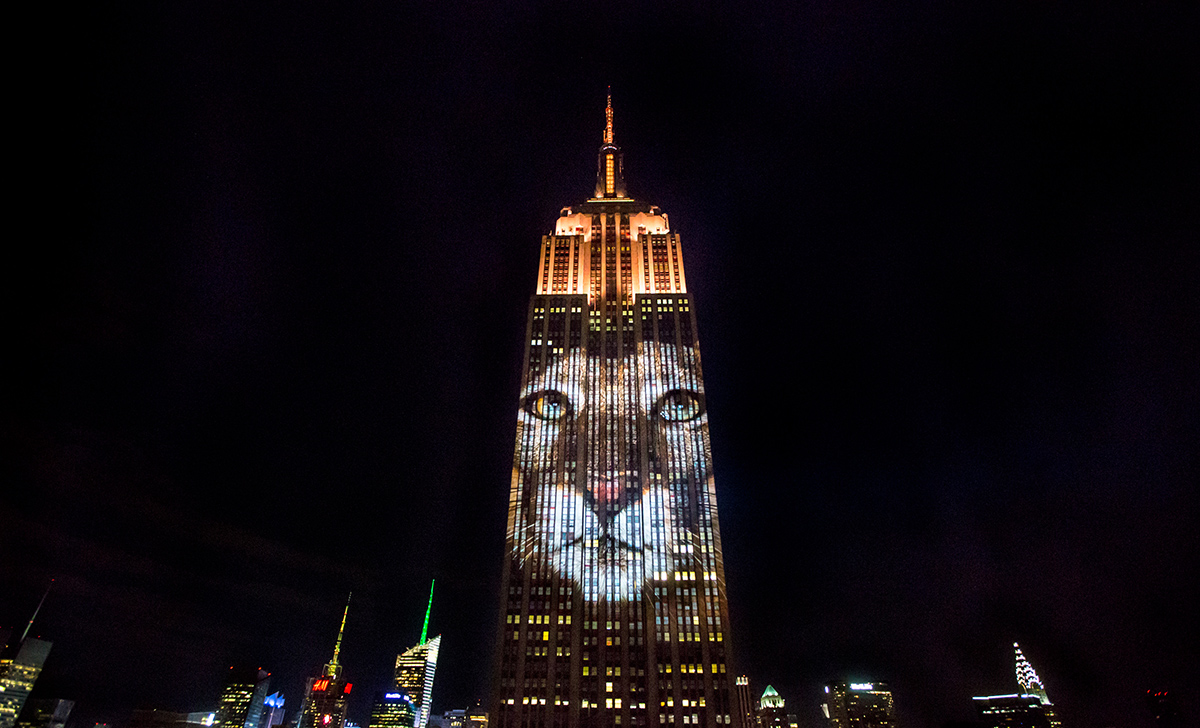 Obscura Digital Covers The Empire State Building With Massive Projections Of Endangered Animals