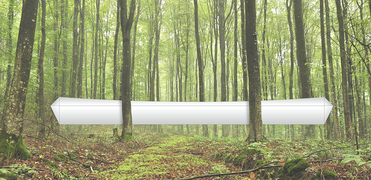 Winners of The first 2A Asia Architecture Award announced