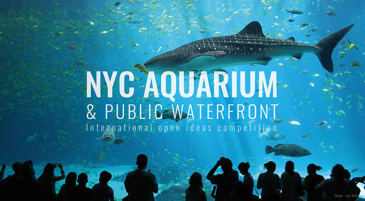 International Ideas Competition: NYC Aquarium & Public Waterfront