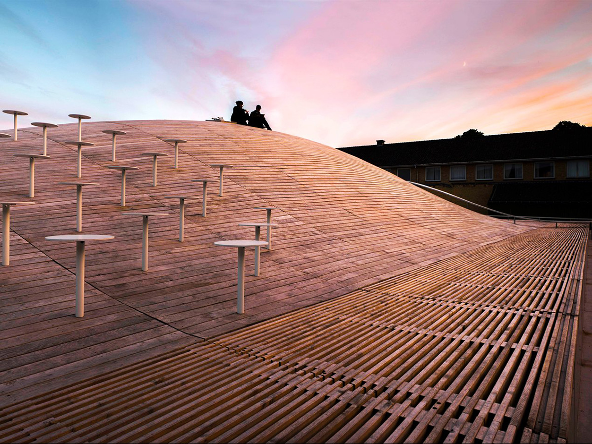 RIBA announced Bjarke Ingels as the RIBA International Honorary Fellow 2015