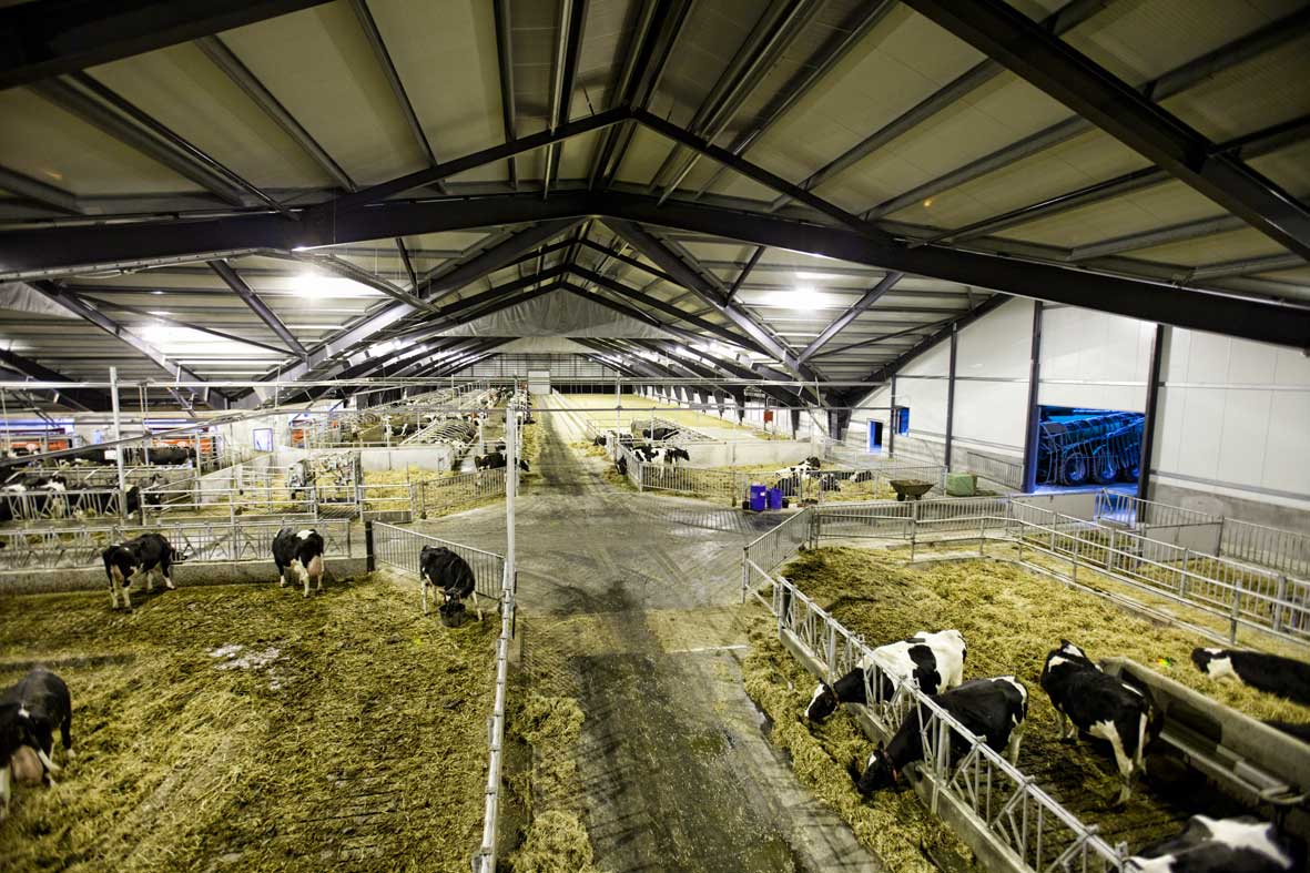 Vejlskovgaard:’’an agricultural building of the future’’