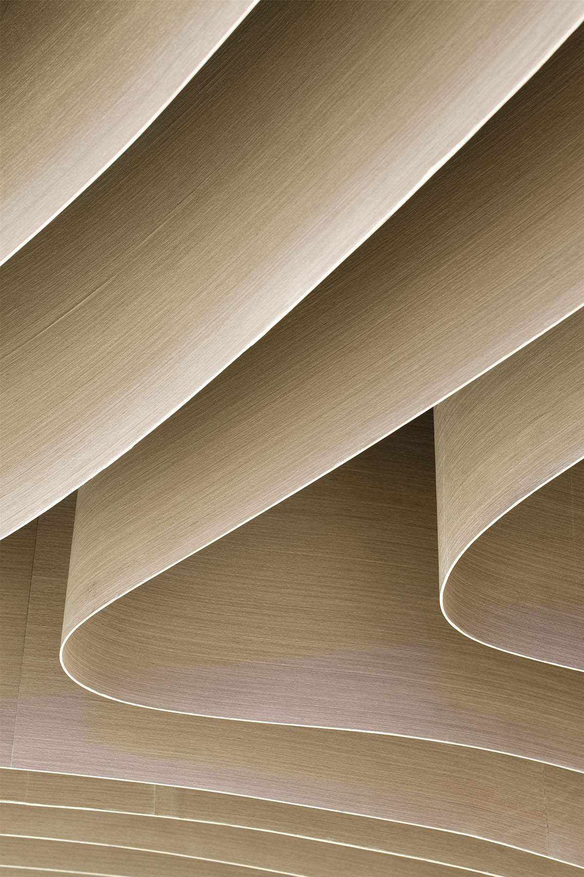 Lukstudio&rsquo;s &rsquo;The Tree Project&rsquo; transforms the spatial obstacle into a sculptural space