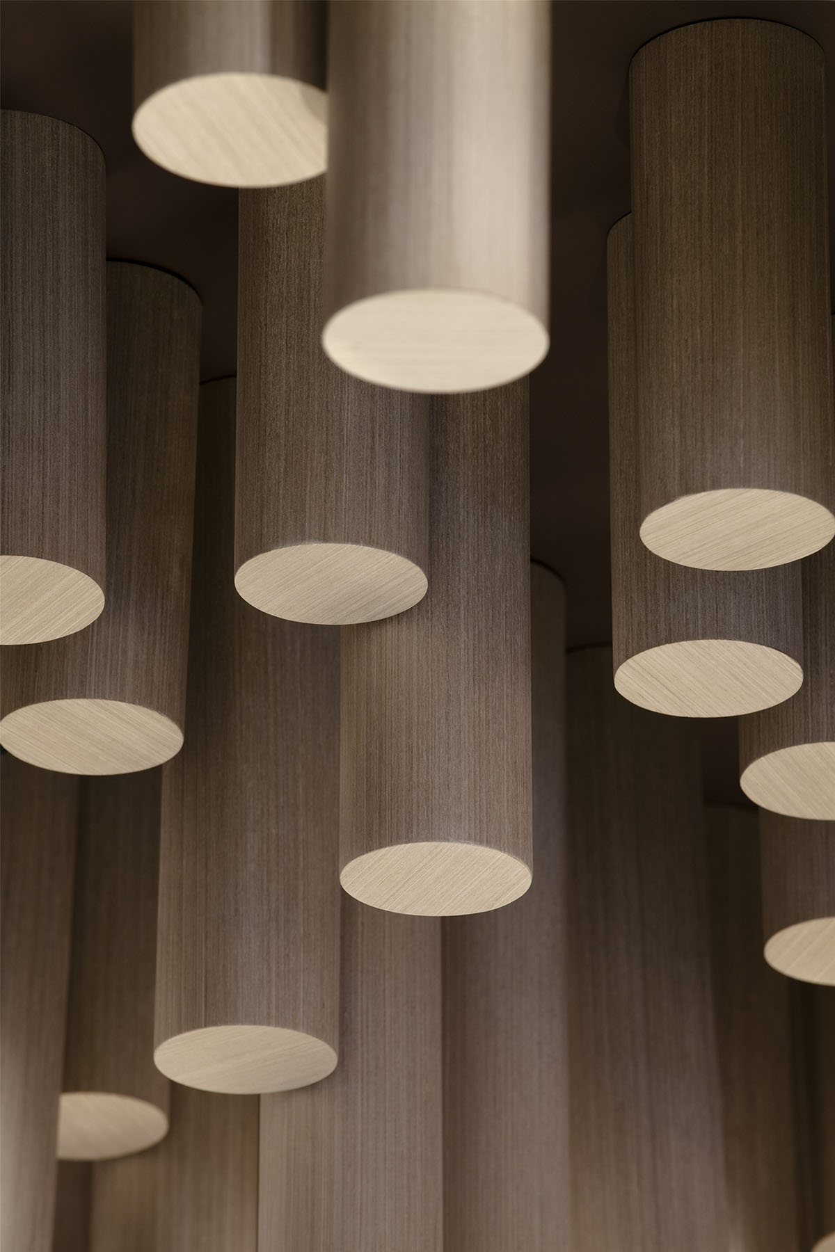 Lukstudio&rsquo;s &rsquo;The Tree Project&rsquo; transforms the spatial obstacle into a sculptural space