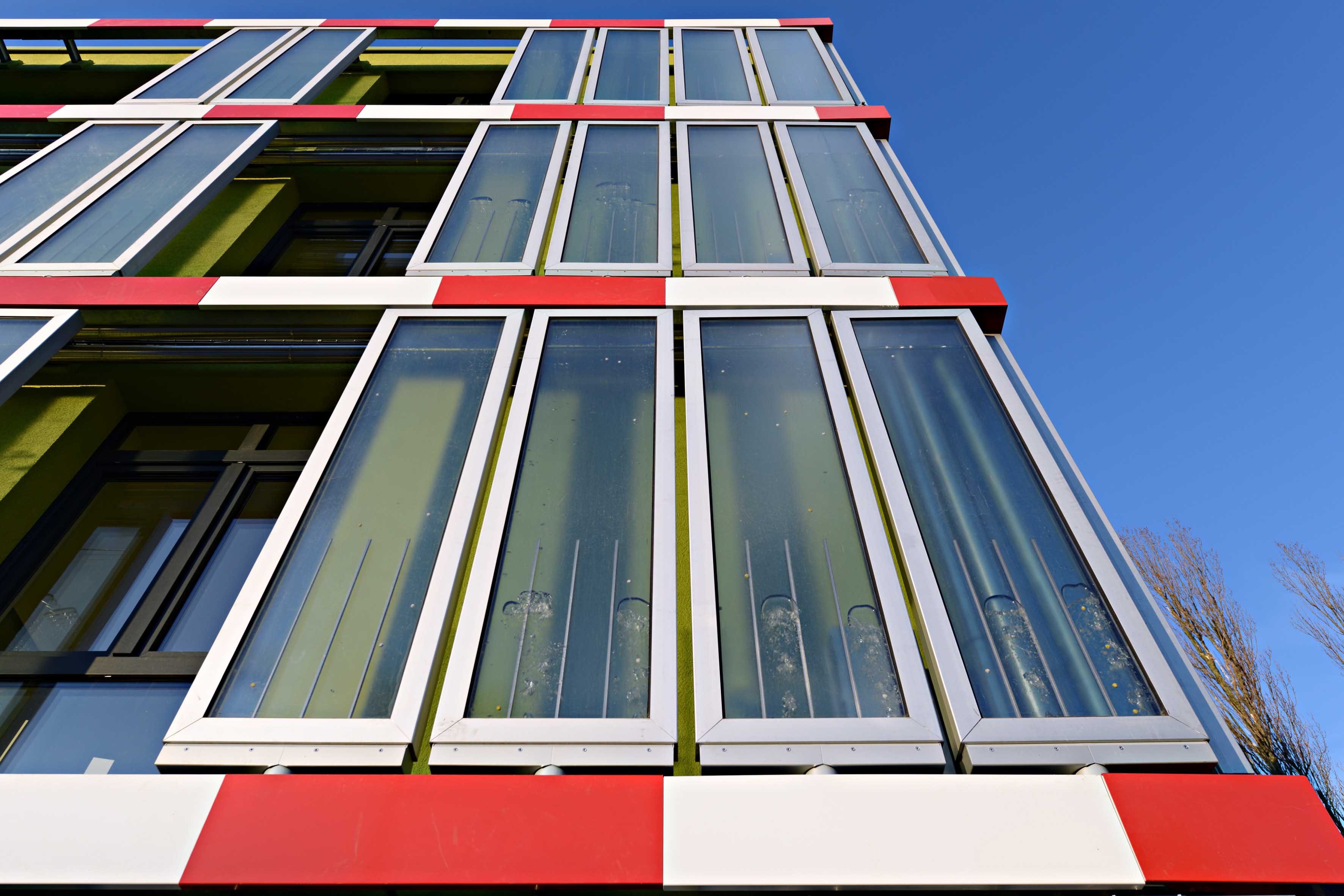 SolarLeaf is best “Applied Innovation” of the year