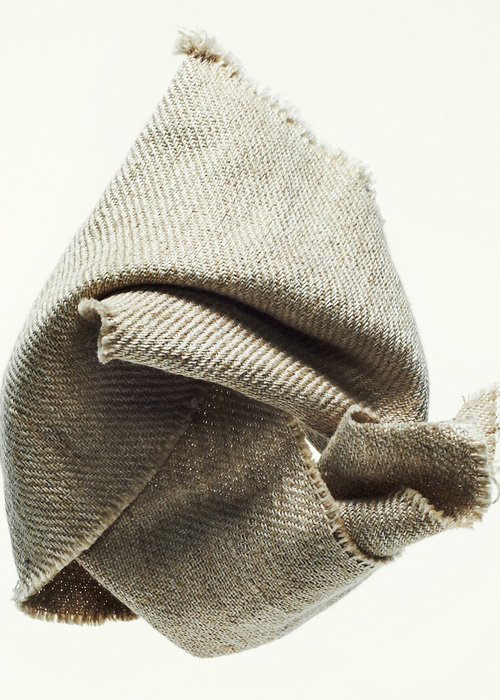 JEC Innovation Award 2015 for BioBuild