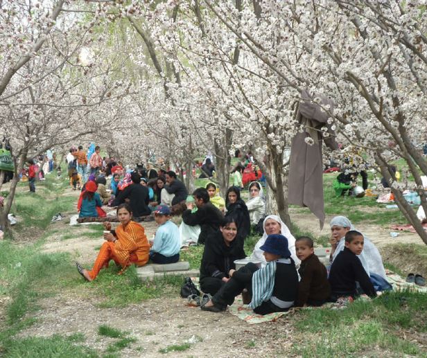 Mobilities, Social Networks and Urban Space: The Case of Iraqi and Syrian Migrants in Istanbul
