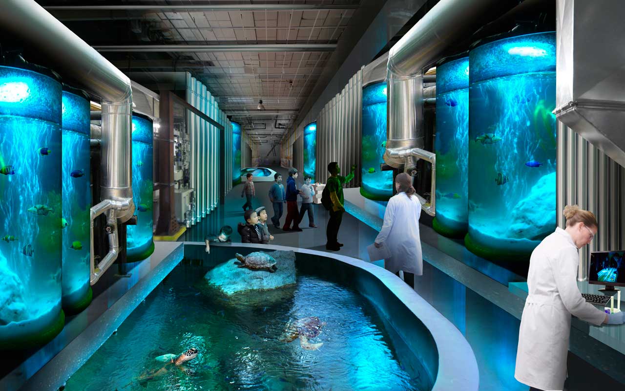 National Museum of Marine Science and Technology breaks ground in Keelung by Foster+Partners