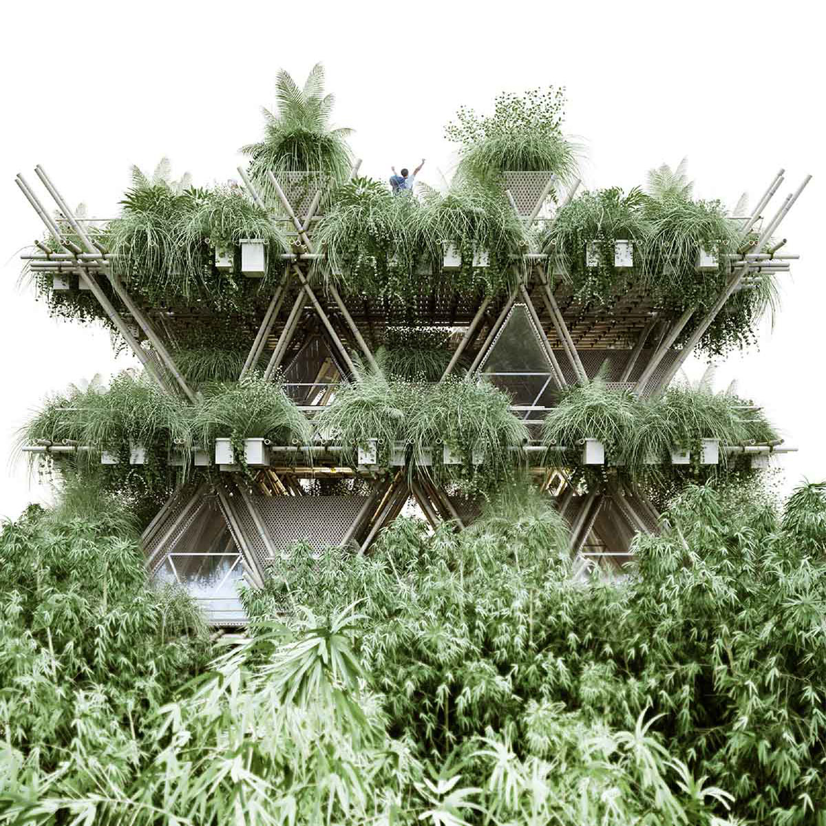 Penda revealed new ecological-Bamboo city vision rethinking the process and sustainable materials