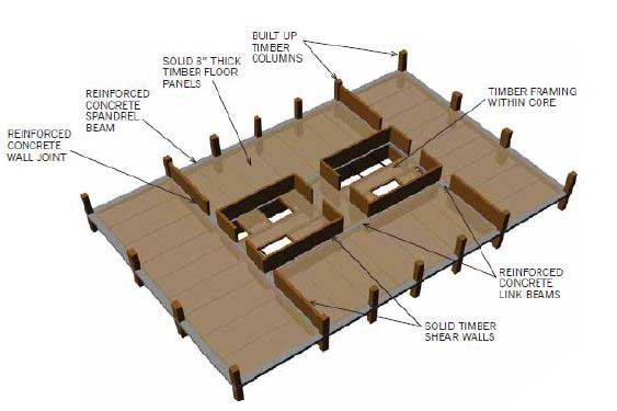 SOM releases Timber Tower Research Project