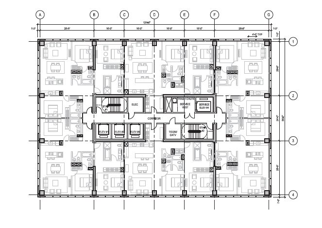 SOM releases Timber Tower Research Project