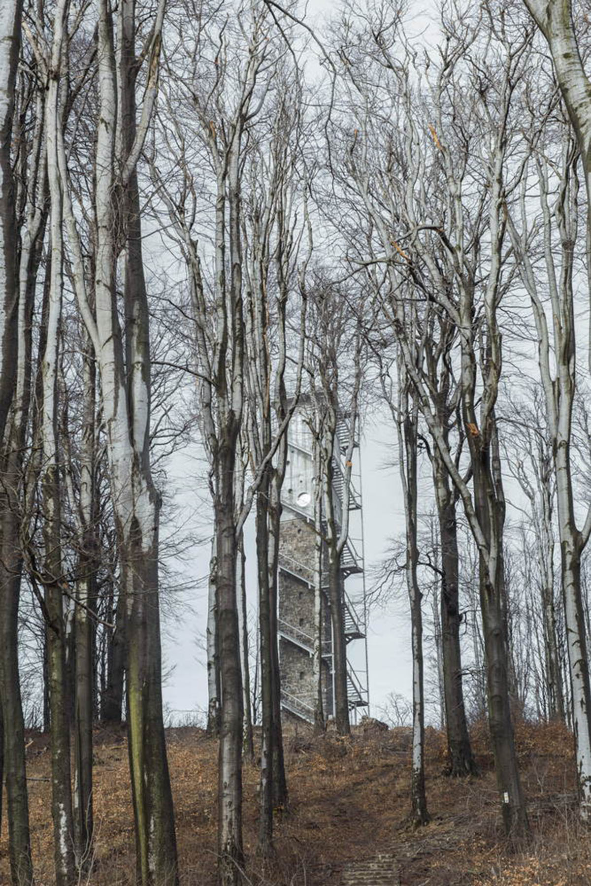 Nartarchitects completes dotted Lookout Tower in Hungary