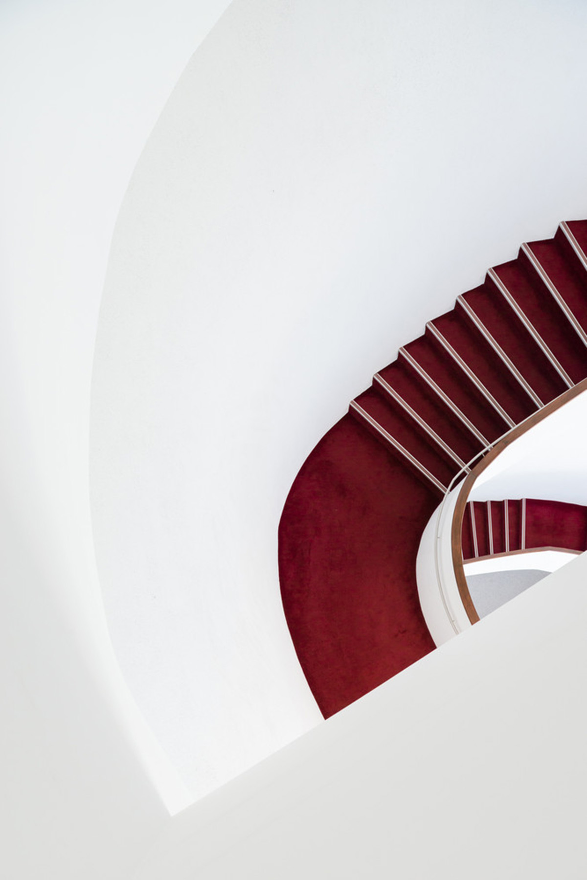 Lucas K Doolan photographs Toyo Ito’s Taichung Metropolitan Opera House in Taiwan