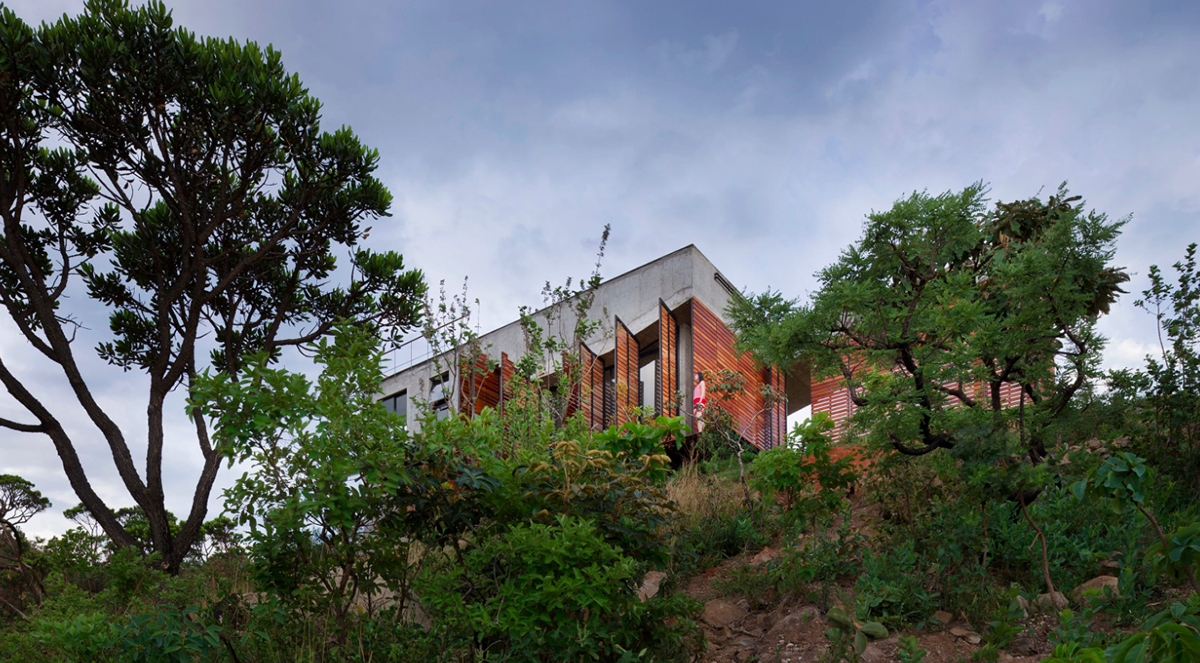 A playful solid-void balance of Brazilian Cerrado House is derived from its internal programme