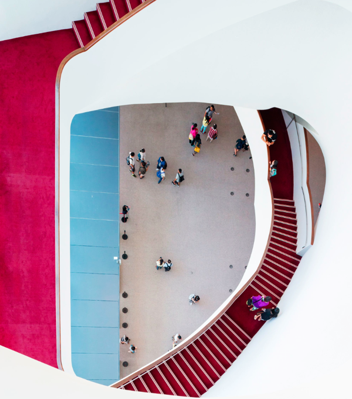 Lucas K Doolan photographs Toyo Ito’s Taichung Metropolitan Opera House in Taiwan