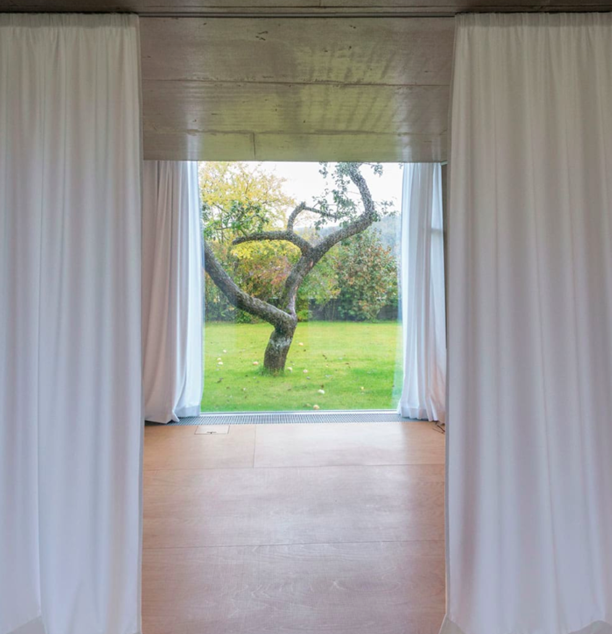 This branched tree-like house creates a chameleon effect in its surrounding