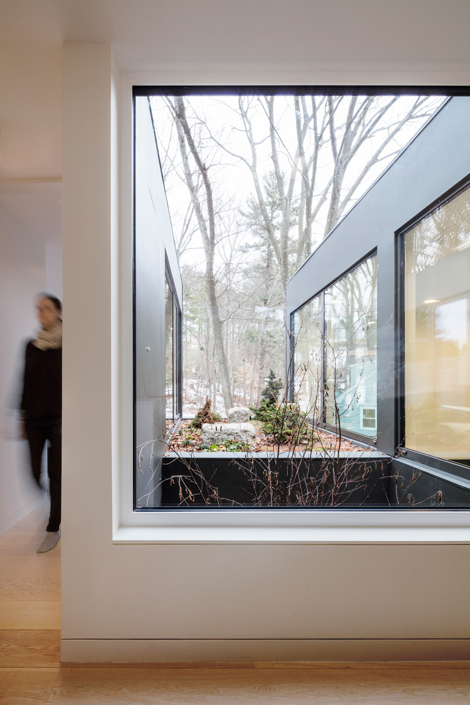 Merge Architects clads this family house with tree-trunk hue weathering steel panels in Lexington