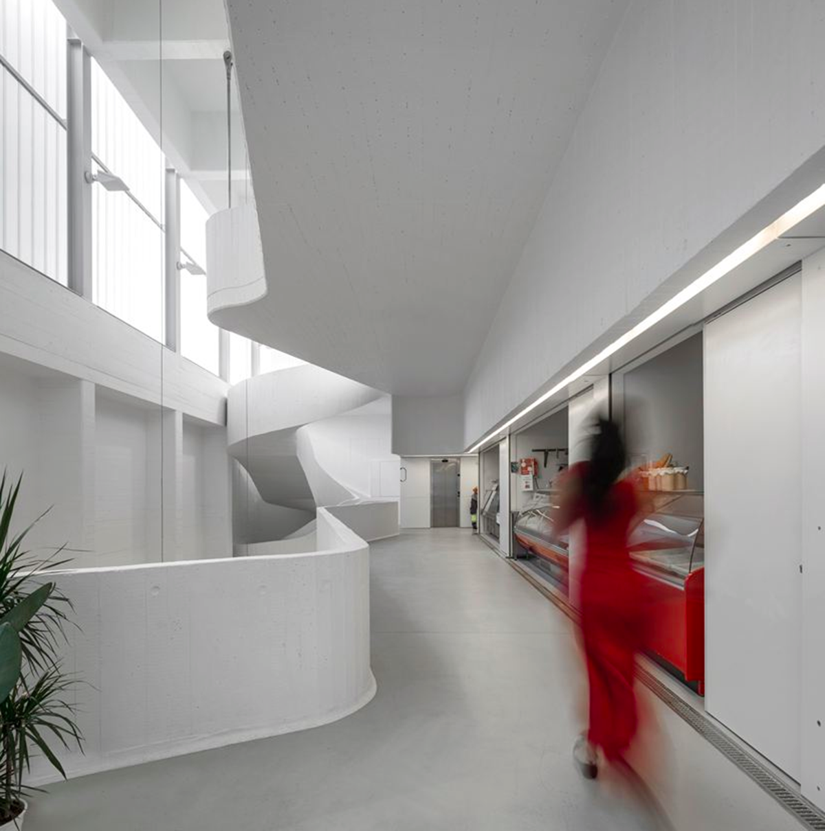 A video tour of ARX Portugal Architects’ Abrantes Municipal Market created by Building Pictures