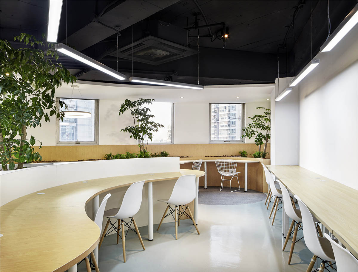 Muxin Design brings the ’forest’ into Chinese office to create natural ...