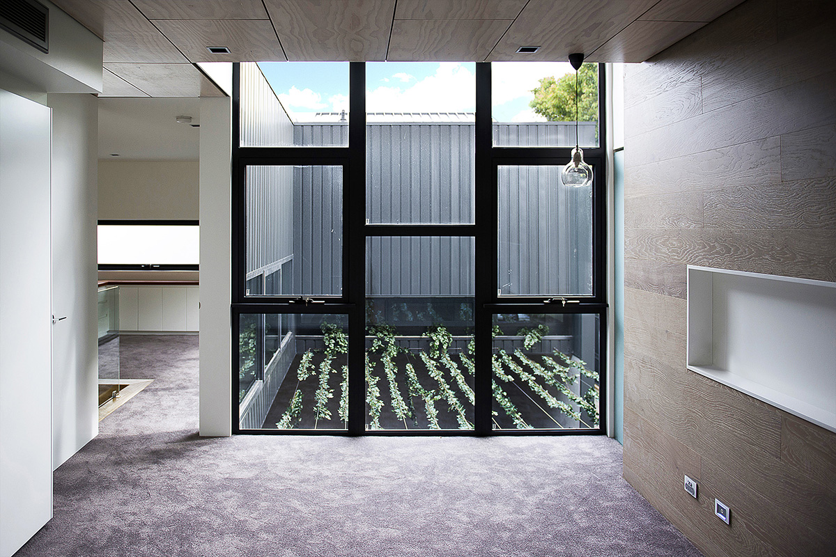 KUD Architects makes a strip window for the lounge area of South Yarra House in Australia