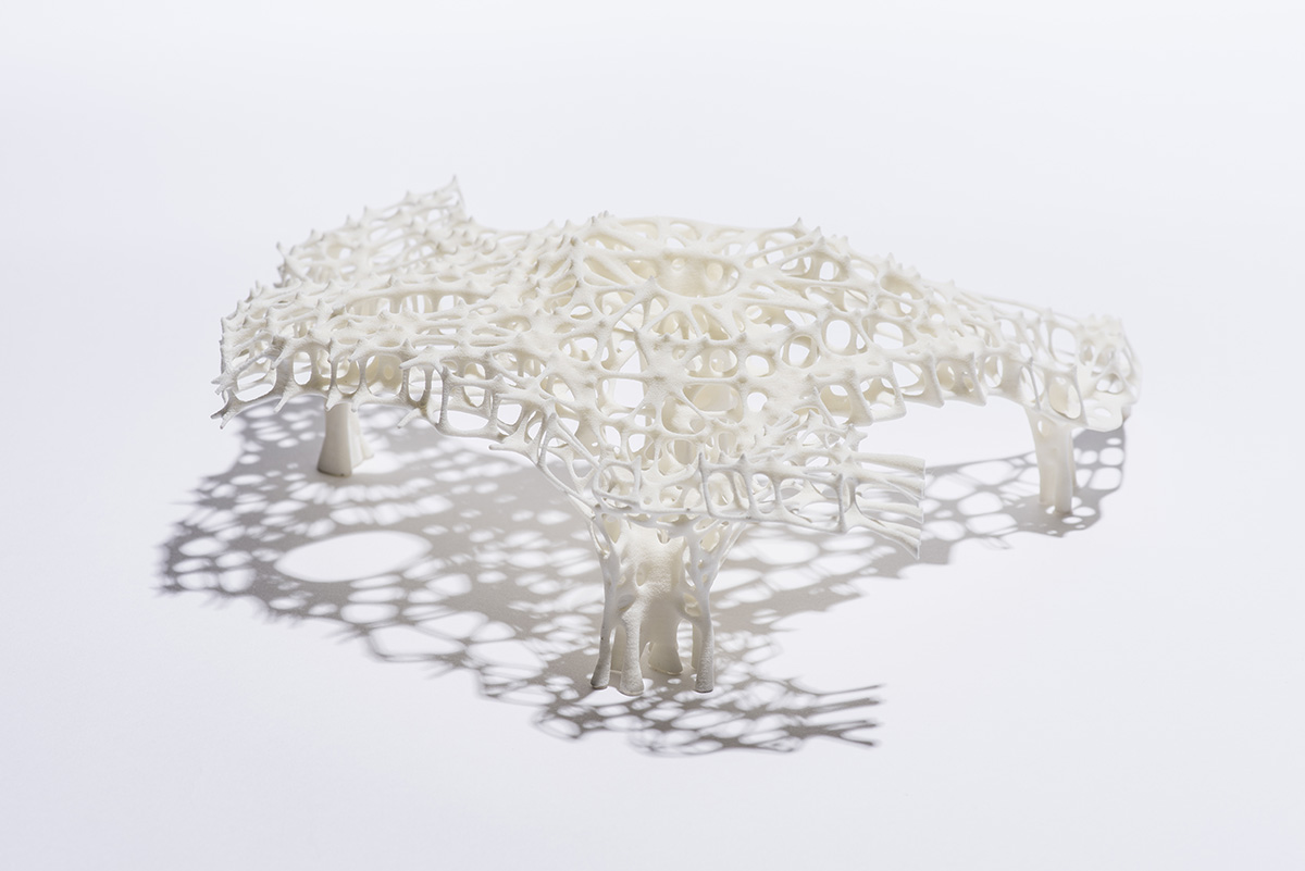 The Extraordinary Process highlights innovative technologies in architecture and fashion