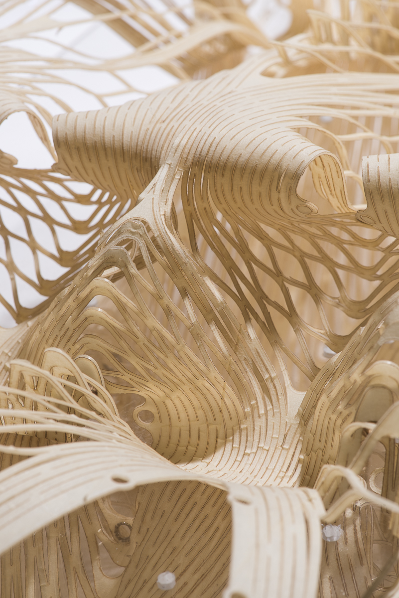 The Extraordinary Process highlights innovative technologies in architecture and fashion