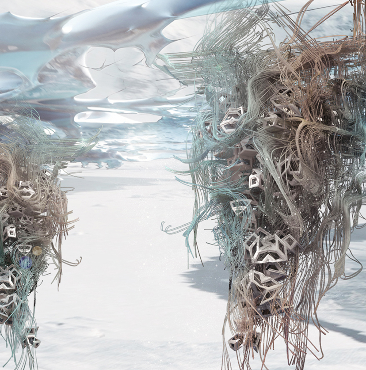 First Antarctic Biennale winners Sho Hasegawa and Gustav Dusing will visit Southern Continent