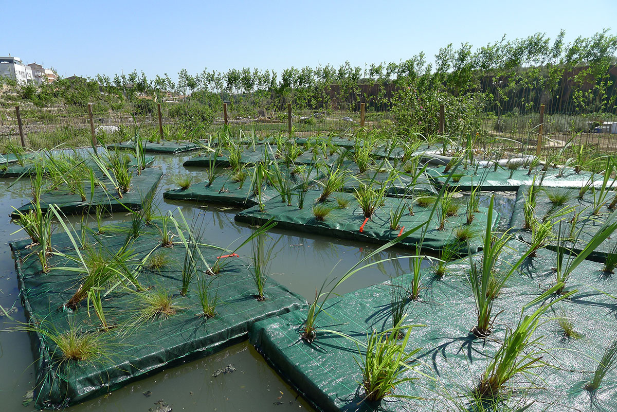 Two joint winners of the 9th European Prize for Urban Public Space 2016 revealed