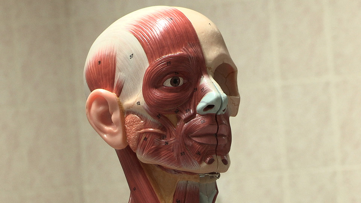 Top 10 Design Stories at the 3rd Istanbul Design Biennial