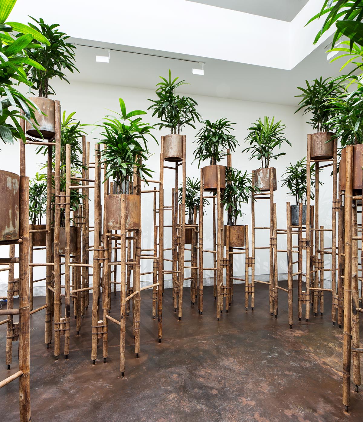 Vo Trong Nghia installs a small forest of bamboo to mediate people with nature at Venice Biennale