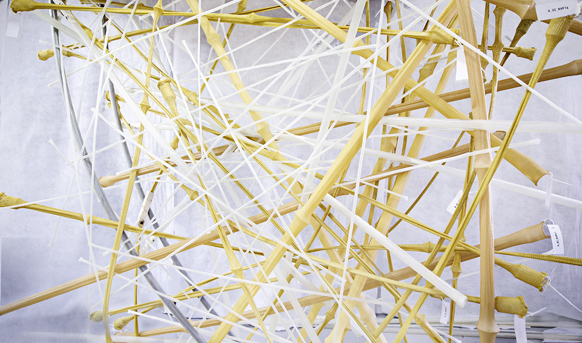 Israel Pavilion&rsquo;s LifeObject exhibition merges Biology and Architecture in Venice Biennale