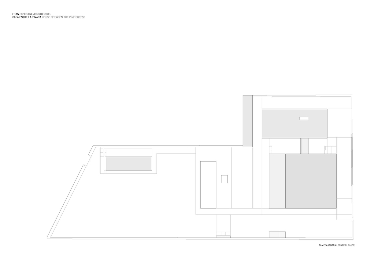Fran Silvestre Arquitectos completes a volume-shifting house between the pine forest of Spain