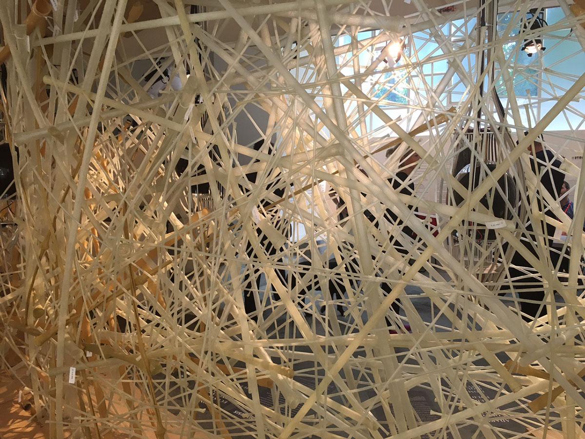 Israel Pavilion&rsquo;s LifeObject exhibition merges Biology and Architecture in Venice Biennale